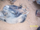 1957 car - wagon inner fenders set